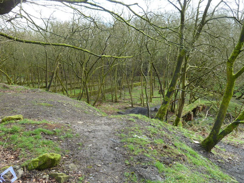 Irwell Springs